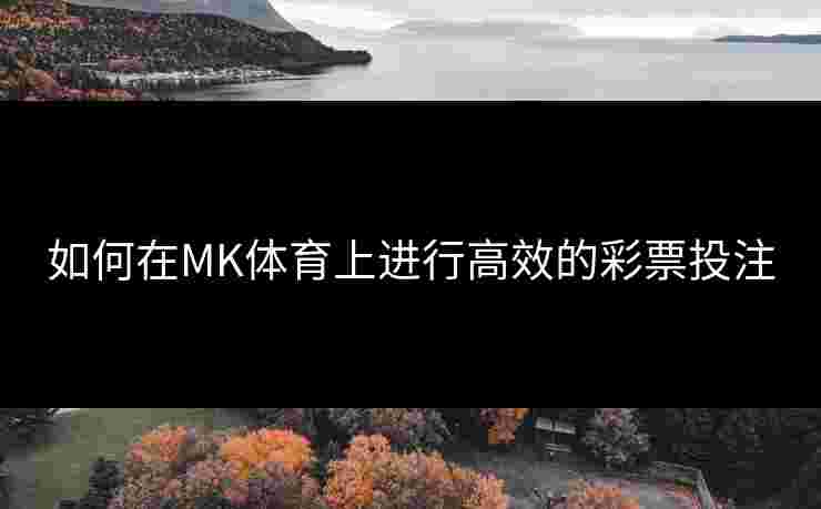 如何在MK体育上进行高效的彩票投注