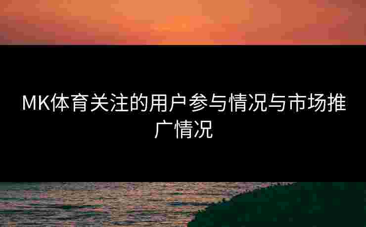 MK体育关注的用户参与情况与市场推广情况