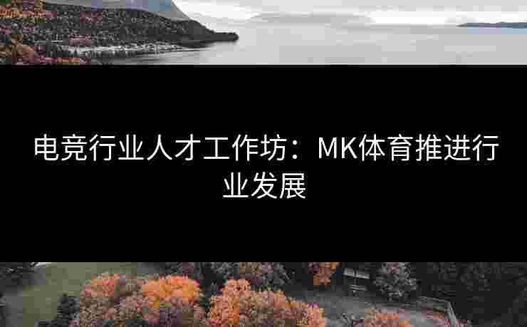电竞行业人才工作坊：MK体育推进行业发展