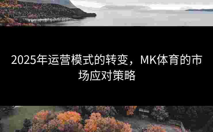 2025年运营模式的转变，MK体育的市场应对策略